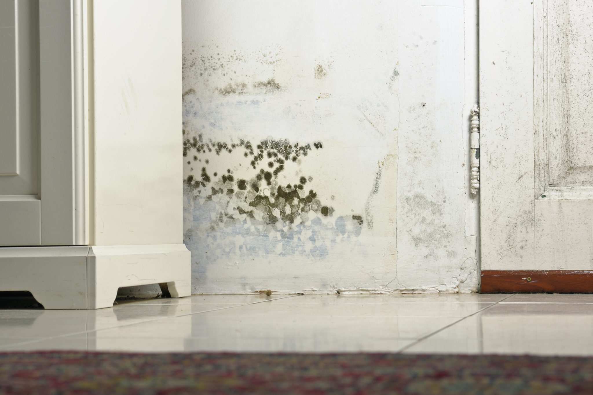 Mold or Mould Stains on Damp Wall and Door behind Cabinet due to condensation caused by lack of ventilation.