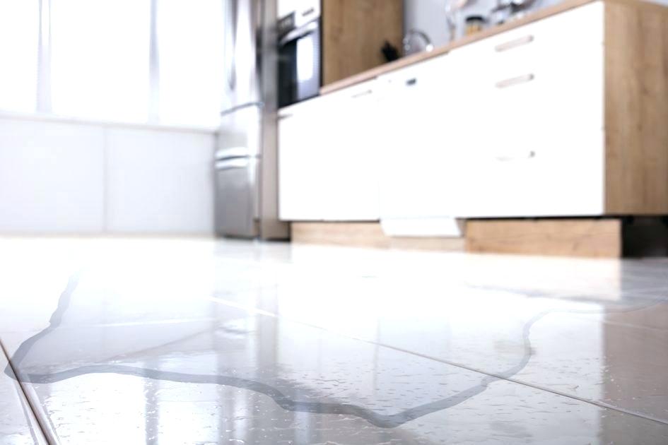 What to do after Water Damage in NYC Apartment