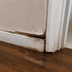 Plaster Peeling