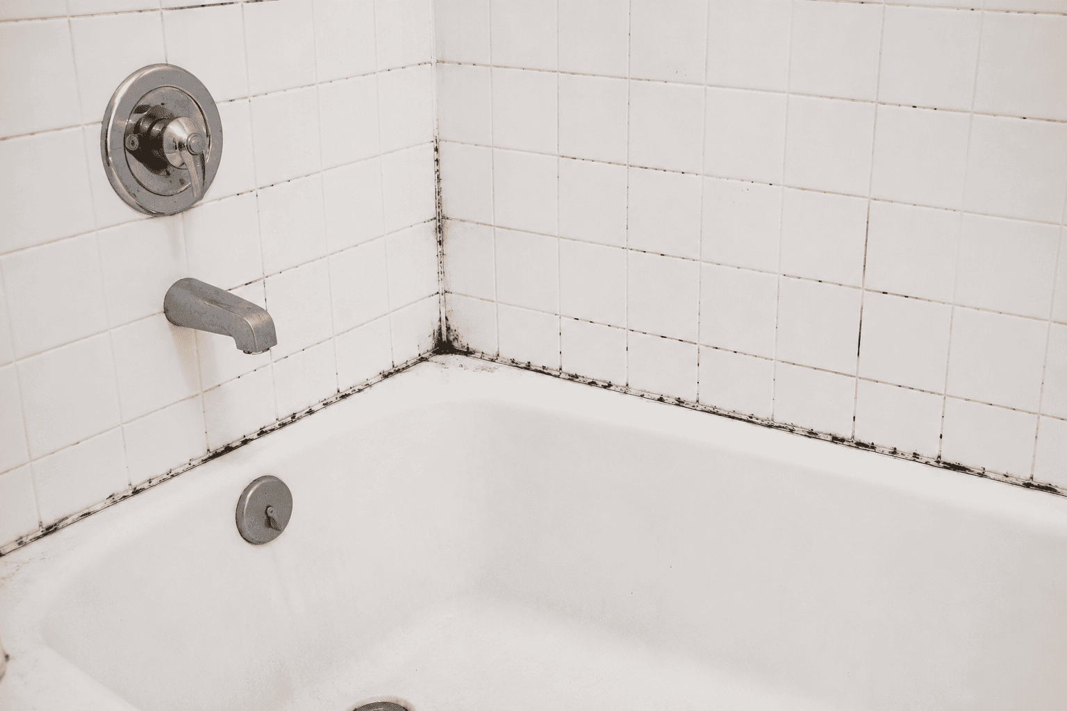 How to Prevent Mold in Your Bathroom
