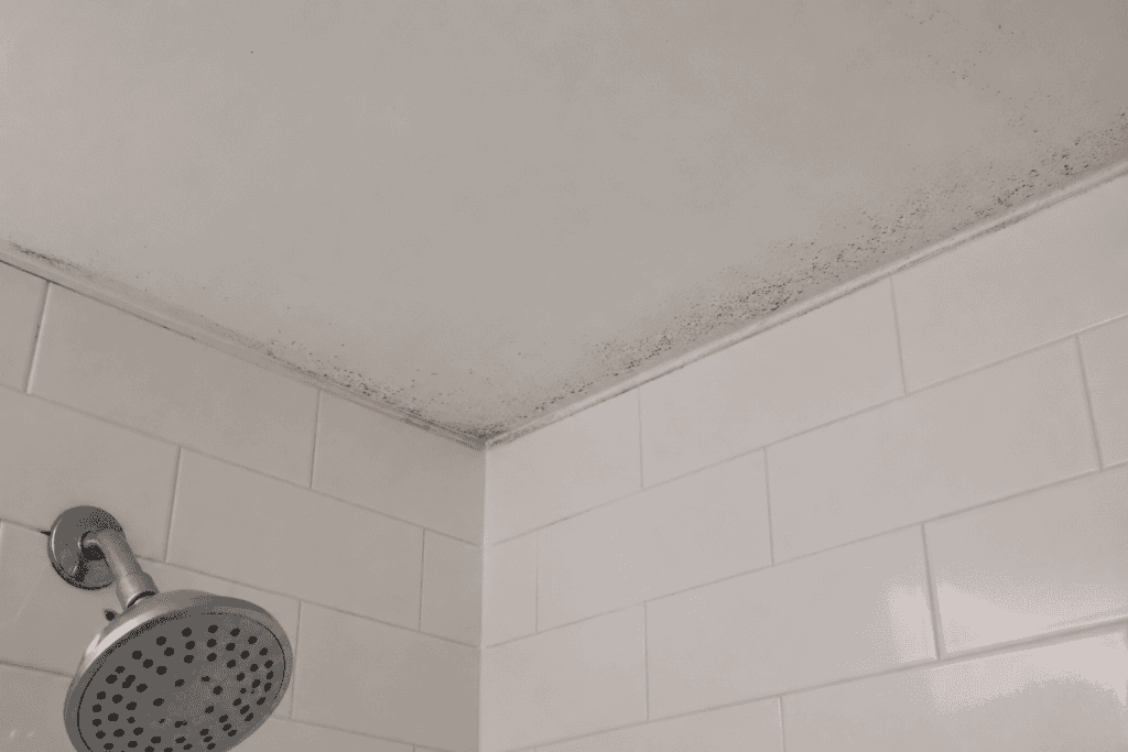 Mold on ceiling ontop of shower